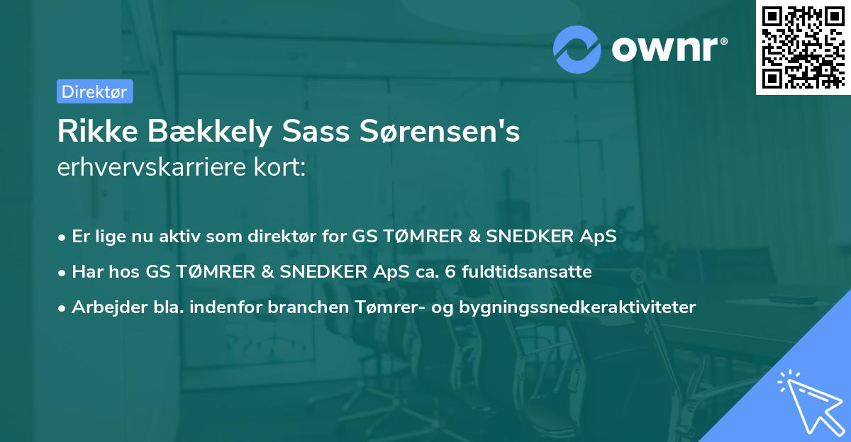 Rikke Bækkely Sass Sørensen's erhvervskarriere kort