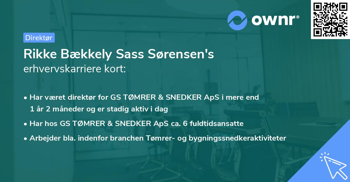 Rikke Bækkely Sass Sørensen's erhvervskarriere kort