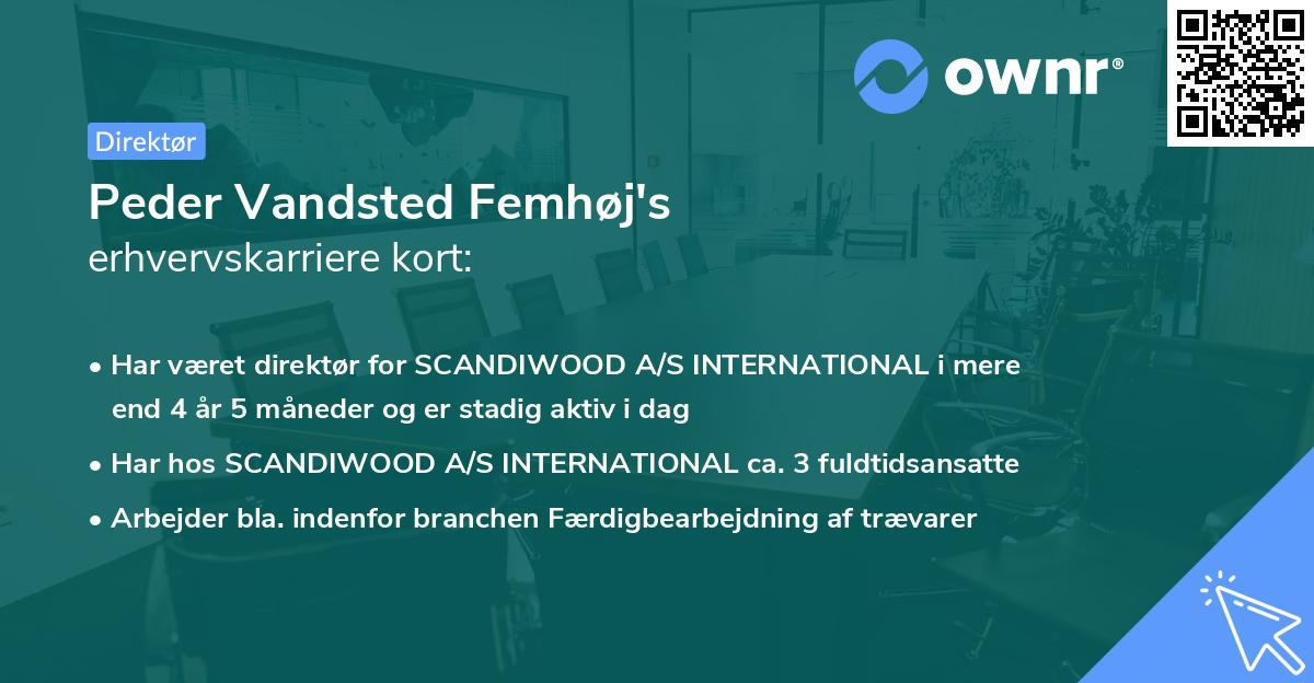 Peder Vandsted Femhøj's erhvervskarriere kort