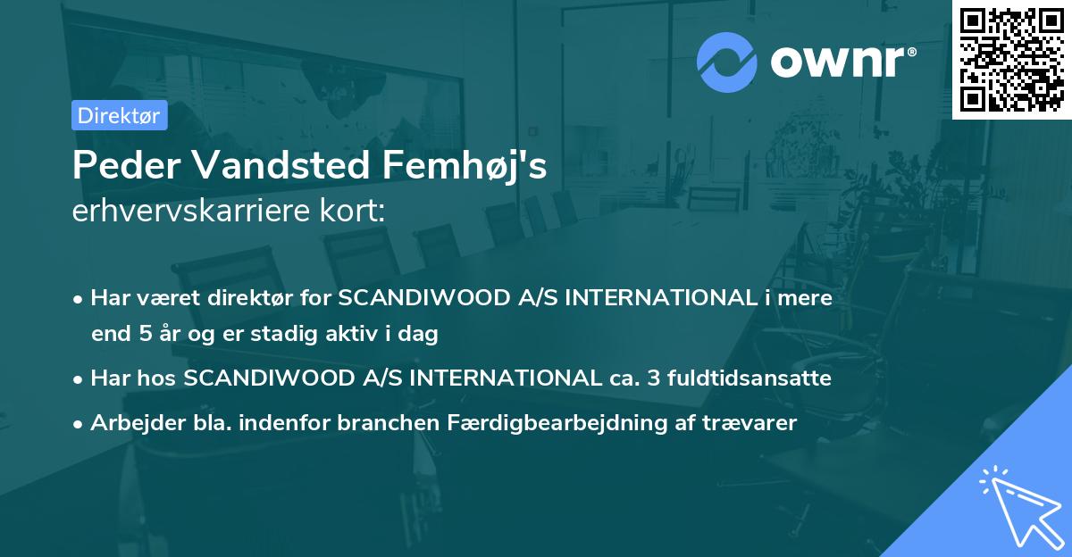 Peder Vandsted Femhøj's erhvervskarriere kort