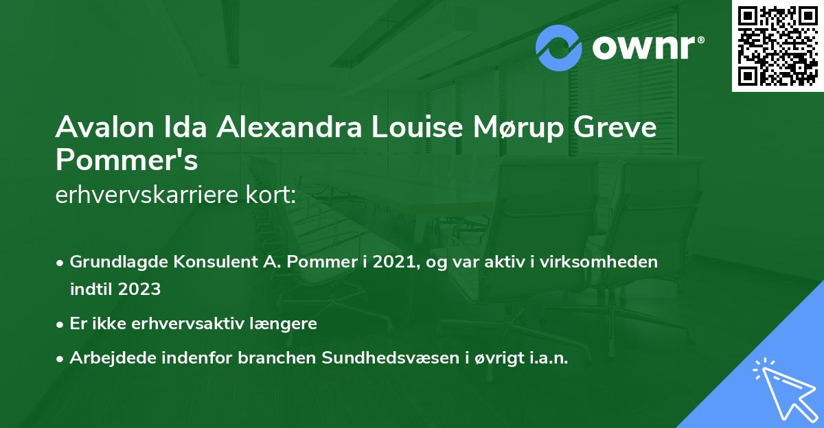 Avalon Ida Alexandra Louise Mørup Greve Pommer's erhvervskarriere kort