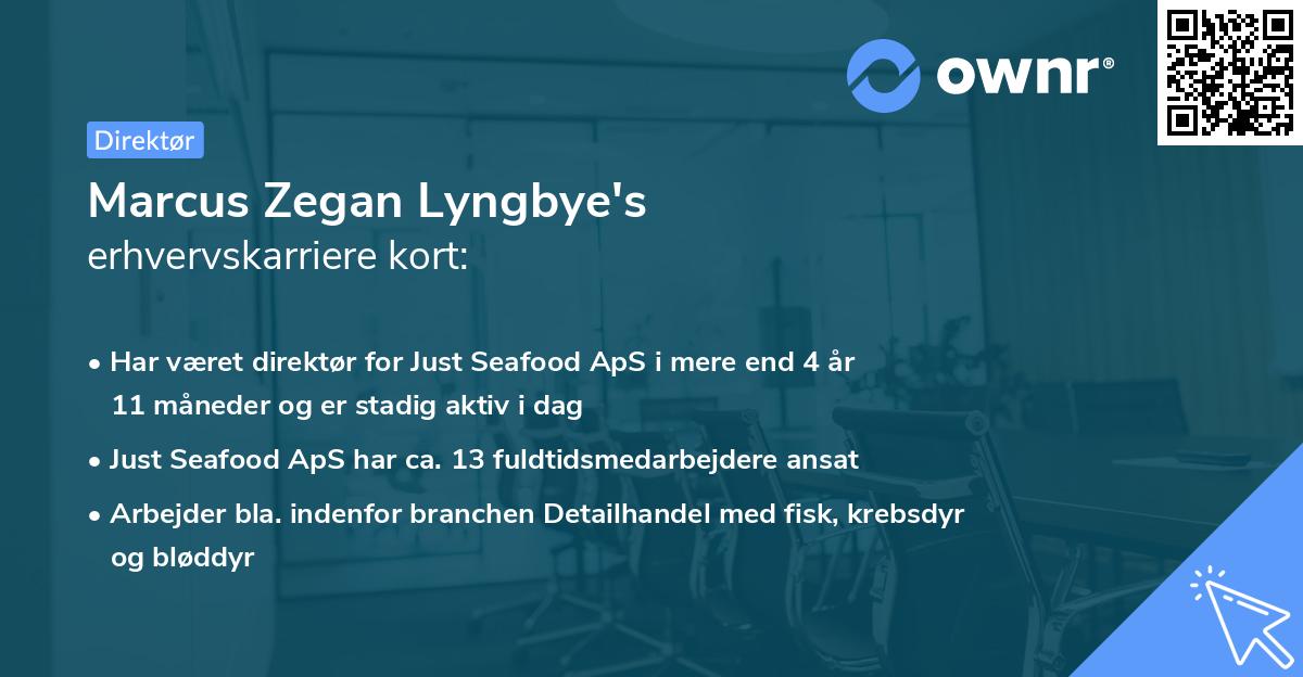 Marcus Zegan Lyngbye's erhvervskarriere kort