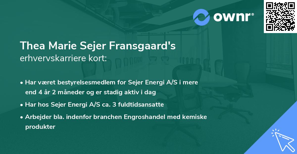 Thea Marie Sejer Fransgaard's erhvervskarriere kort