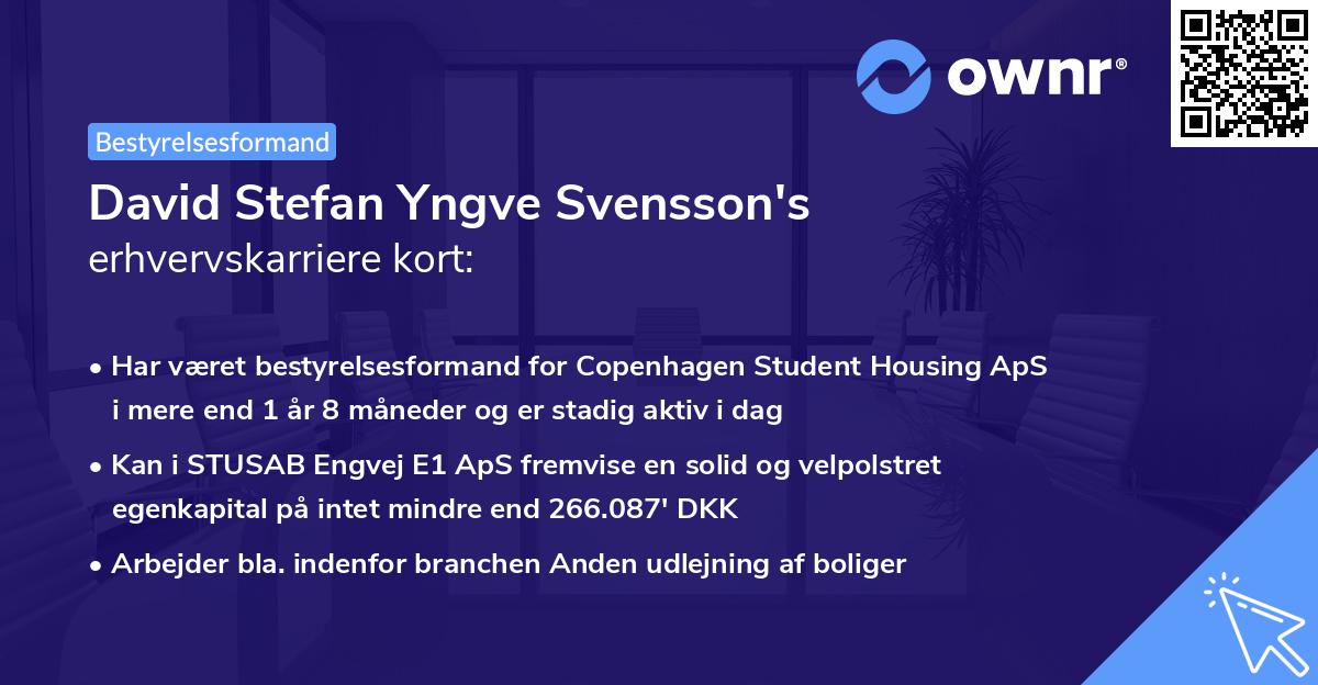 David Stefan Yngve Svensson's erhvervskarriere kort