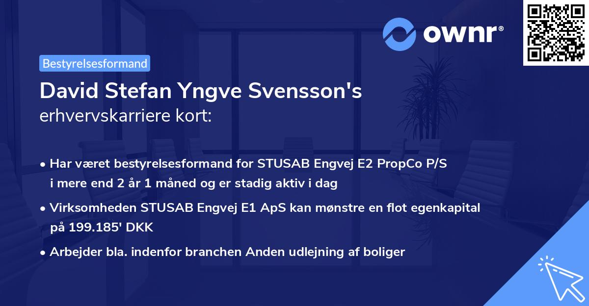 David Stefan Yngve Svensson's erhvervskarriere kort