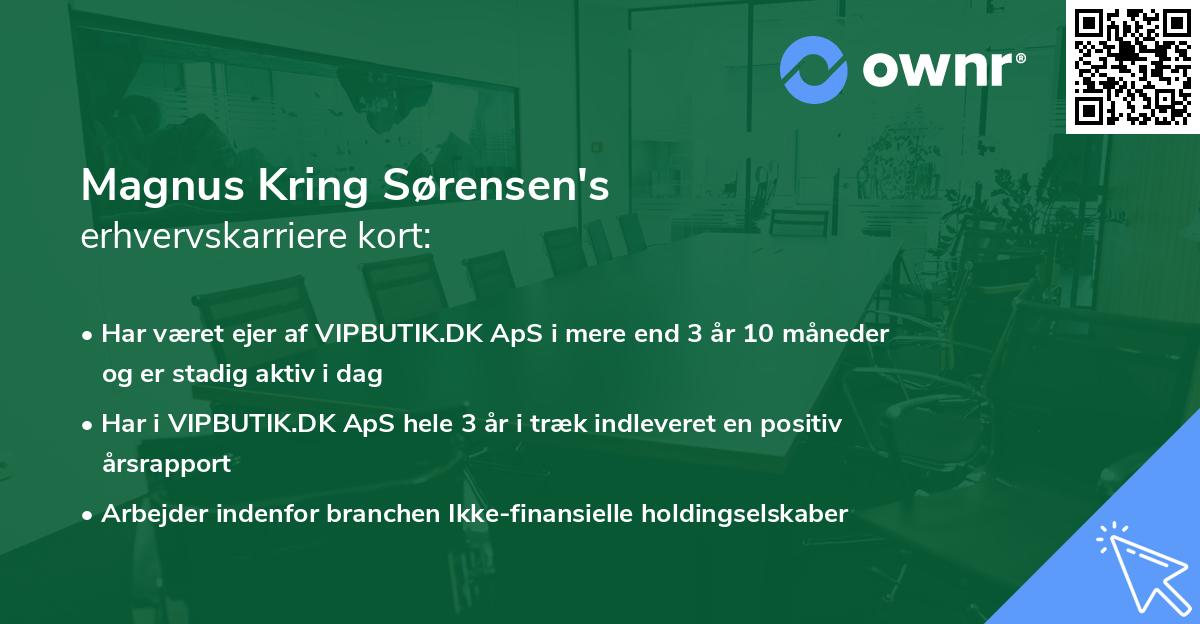 Magnus Kring Sørensen's erhvervskarriere kort