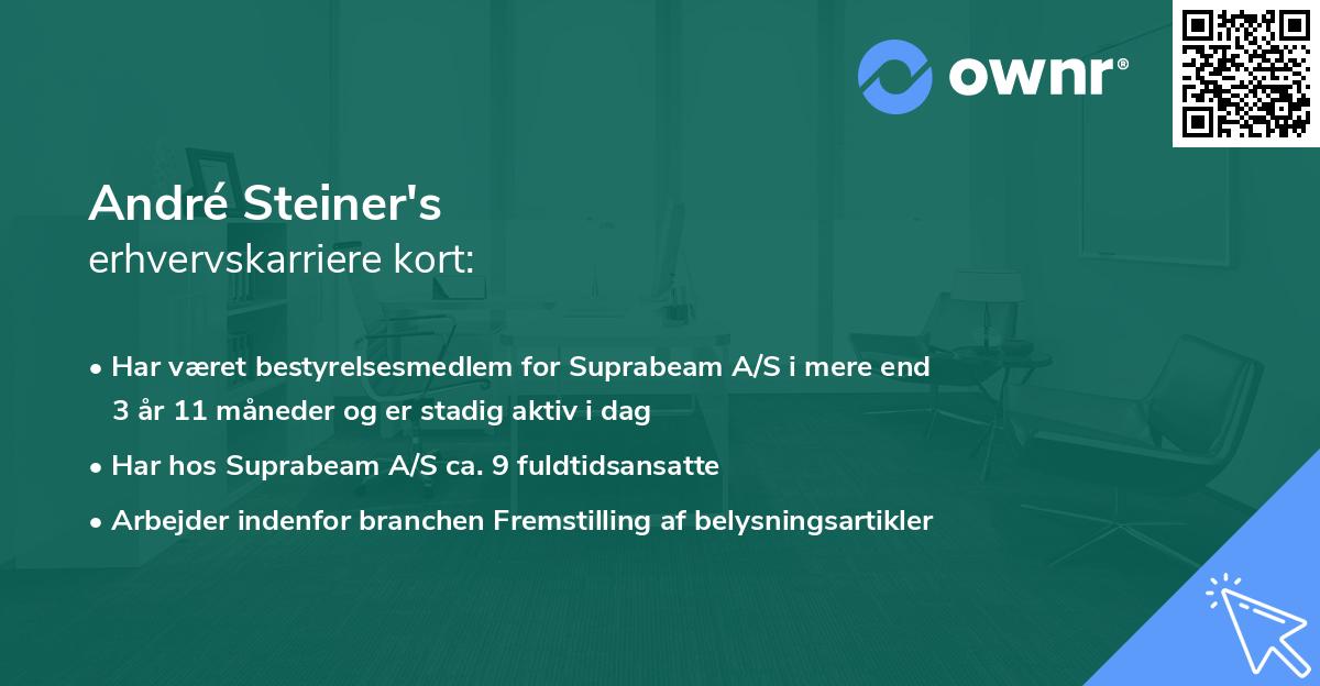 André Steiner's erhvervskarriere kort