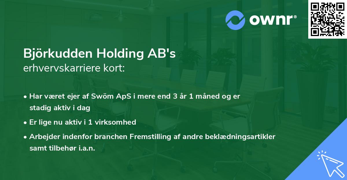 Björkudden Holding AB's erhvervskarriere kort