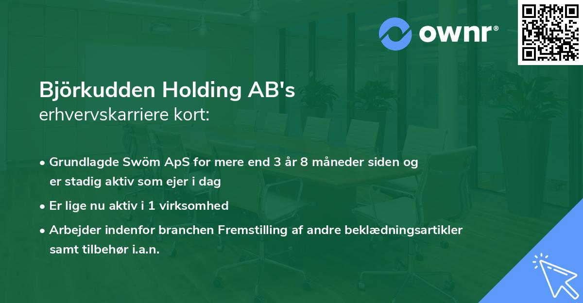 Björkudden Holding AB's erhvervskarriere kort