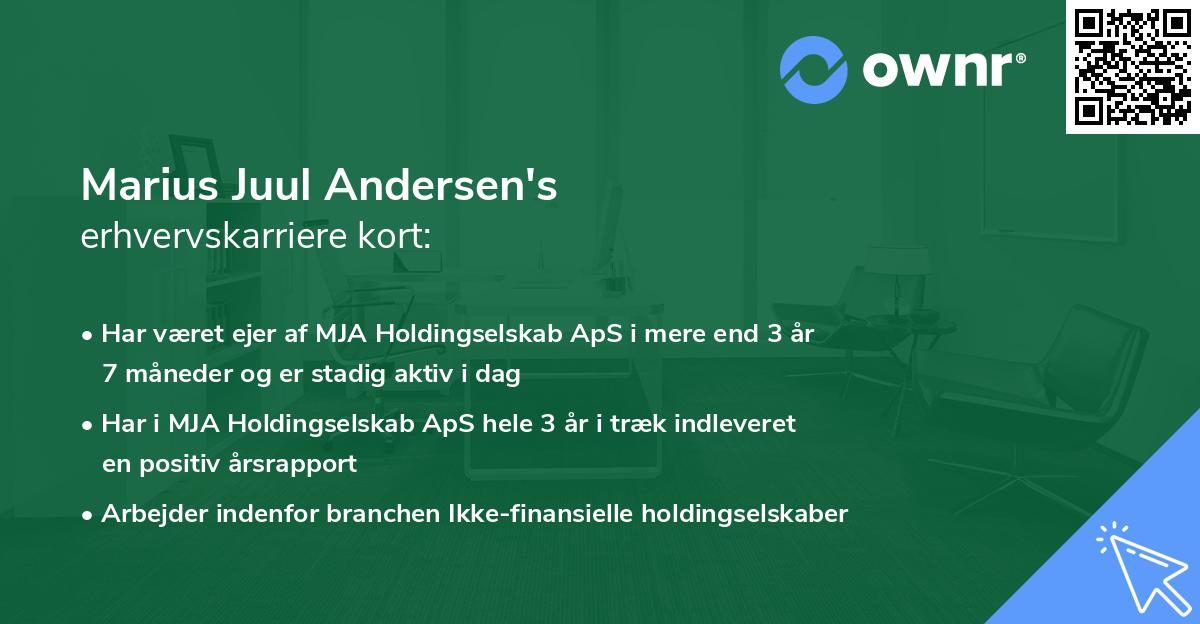 Marius Juul Andersen's erhvervskarriere kort