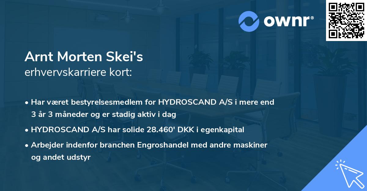 Arnt Morten Skei's erhvervskarriere kort