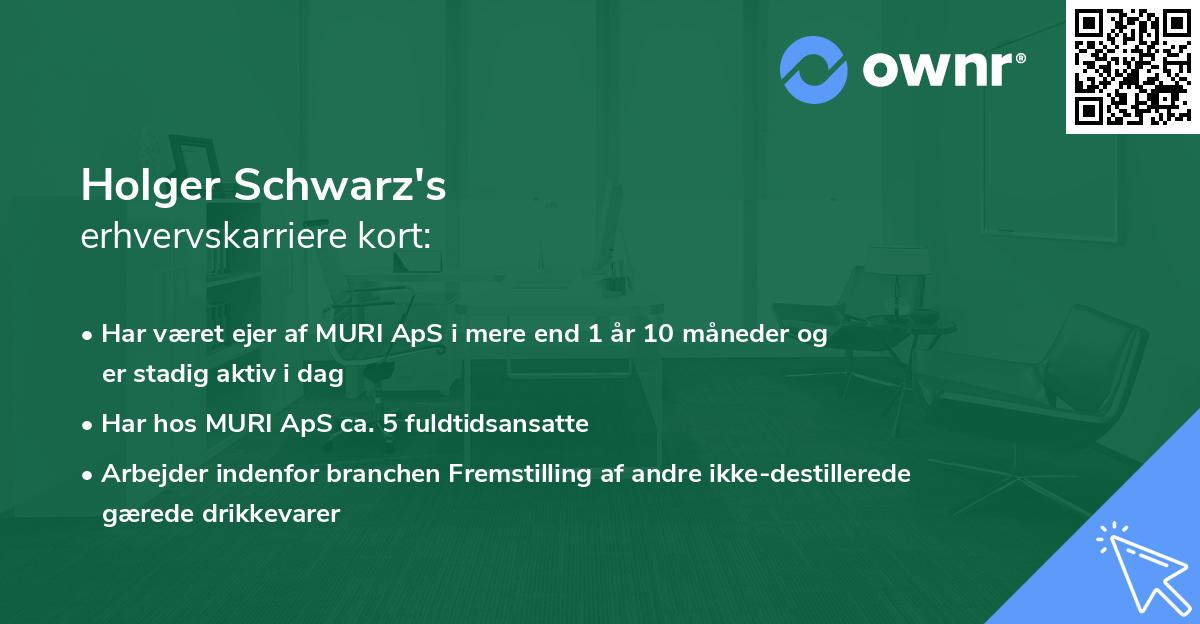 Holger Schwarz's erhvervskarriere kort