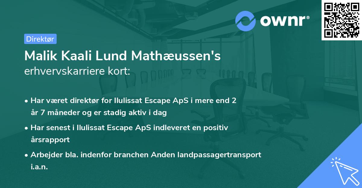 Malik Kaali Lund Mathæussen's erhvervskarriere kort