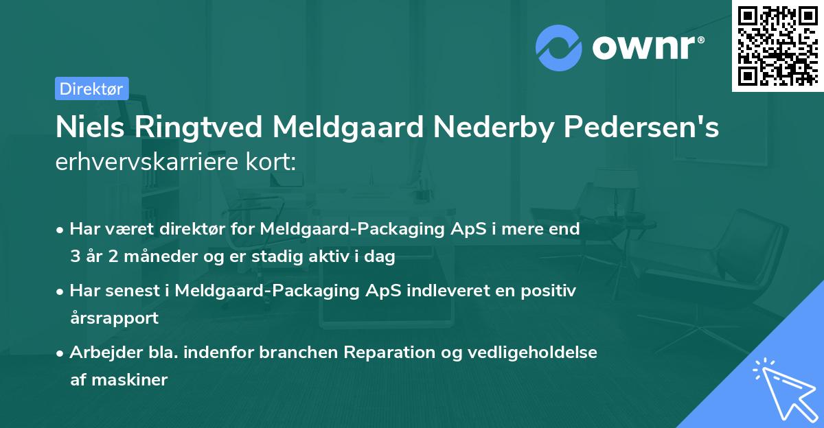 Niels Ringtved Meldgaard Nederby Pedersen's erhvervskarriere kort