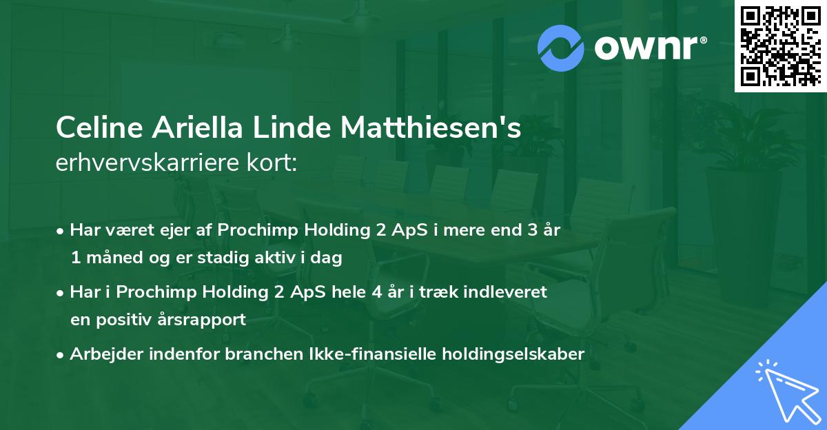 Celine Ariella Linde Matthiesen's erhvervskarriere kort