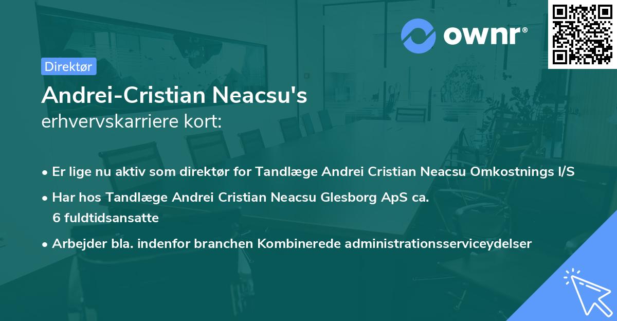 Andrei-Cristian Neacsu's erhvervskarriere kort