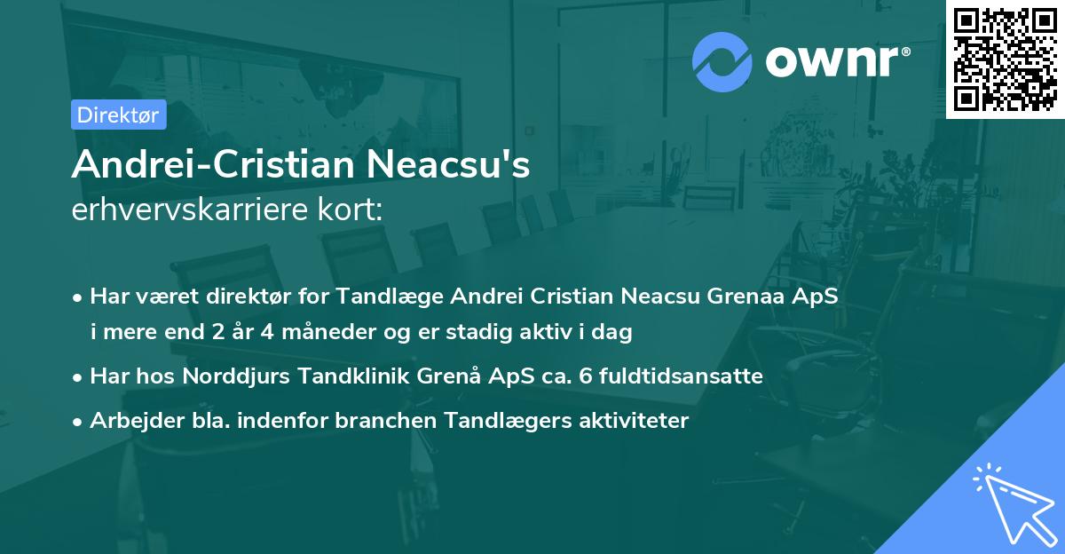 Andrei-Cristian Neacsu's erhvervskarriere kort