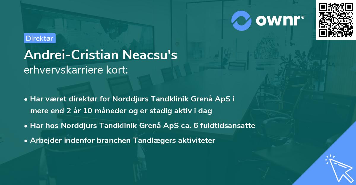 Andrei-Cristian Neacsu's erhvervskarriere kort