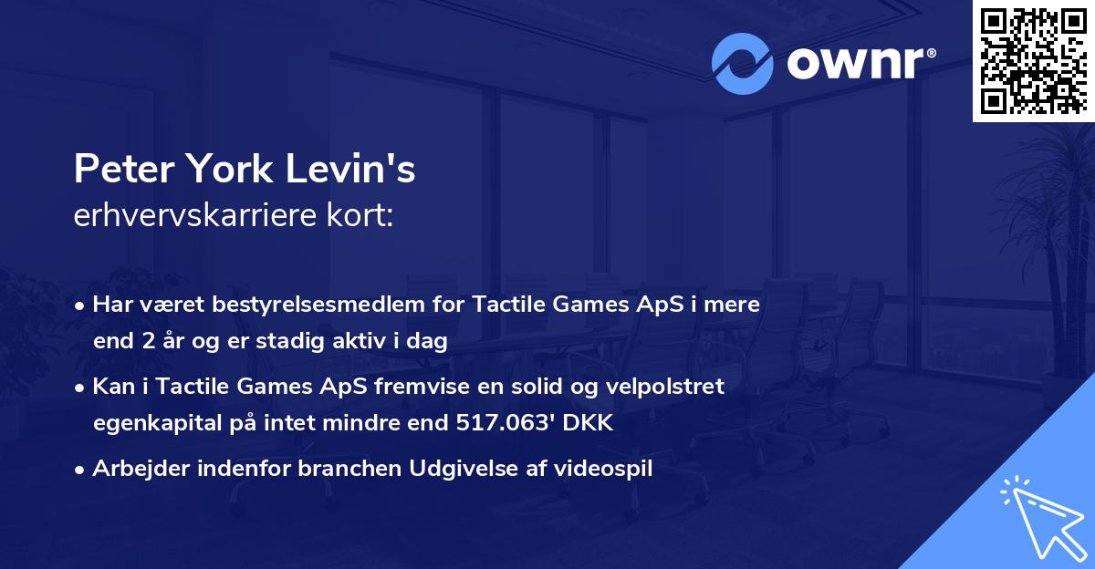 Peter York Levin's erhvervskarriere kort