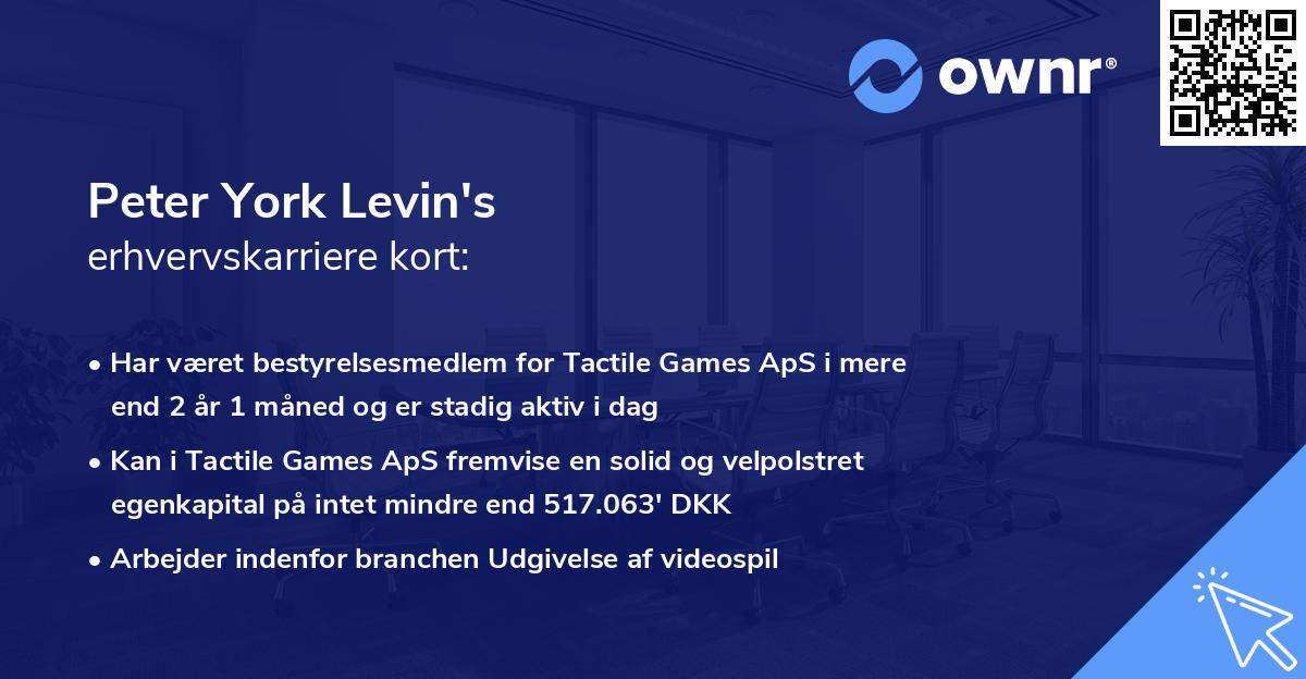 Peter York Levin's erhvervskarriere kort