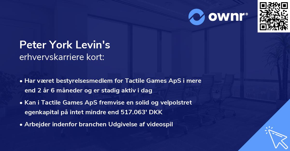 Peter York Levin's erhvervskarriere kort