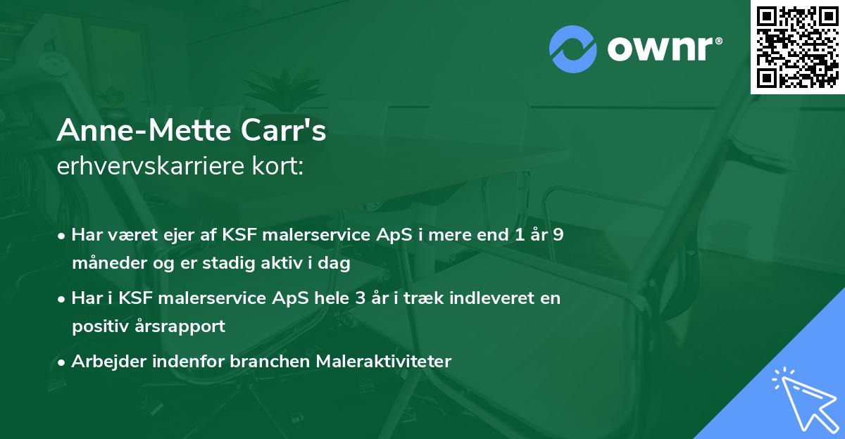 Anne-Mette Carr's erhvervskarriere kort