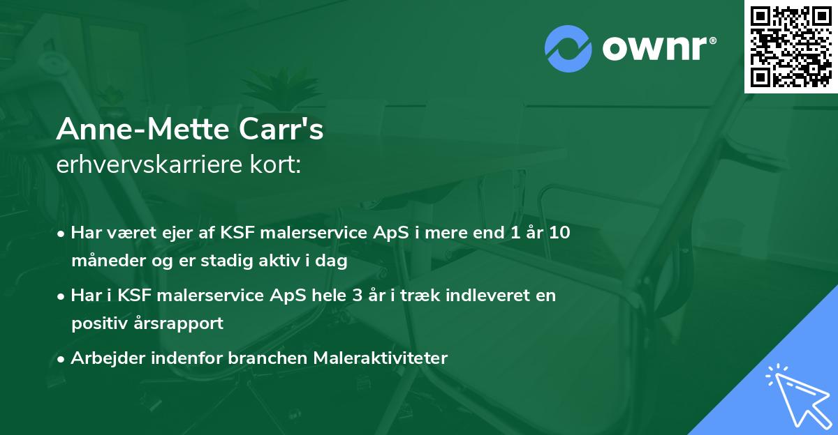 Anne-Mette Carr's erhvervskarriere kort
