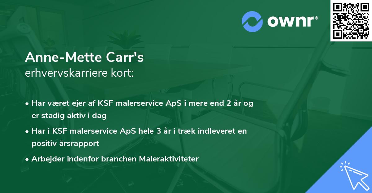 Anne-Mette Carr's erhvervskarriere kort