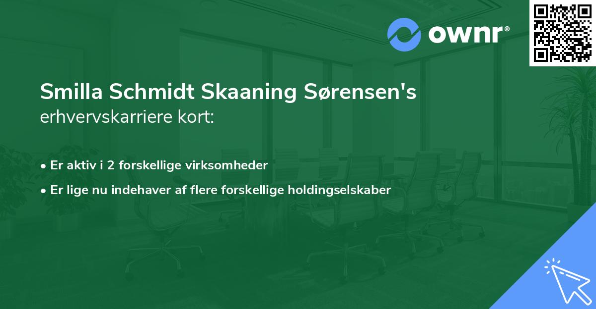 Smilla Schmidt Skaaning Sørensen's erhvervskarriere kort