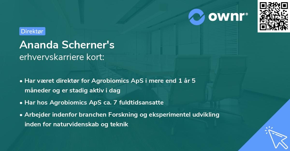 Ananda Scherner's erhvervskarriere kort