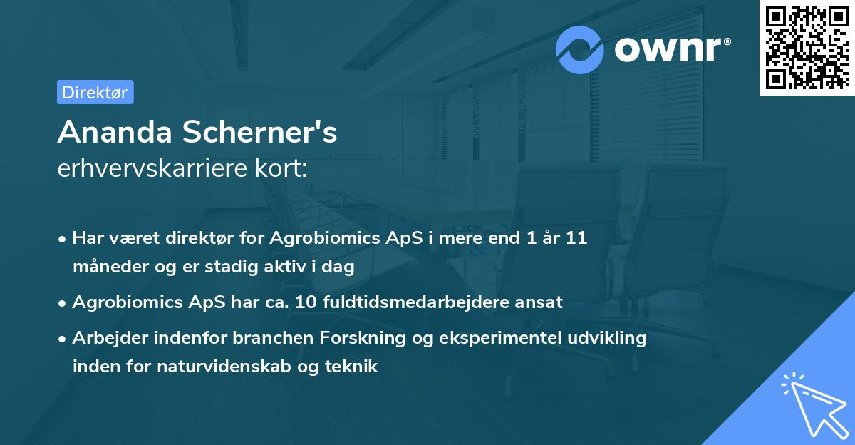 Ananda Scherner's erhvervskarriere kort