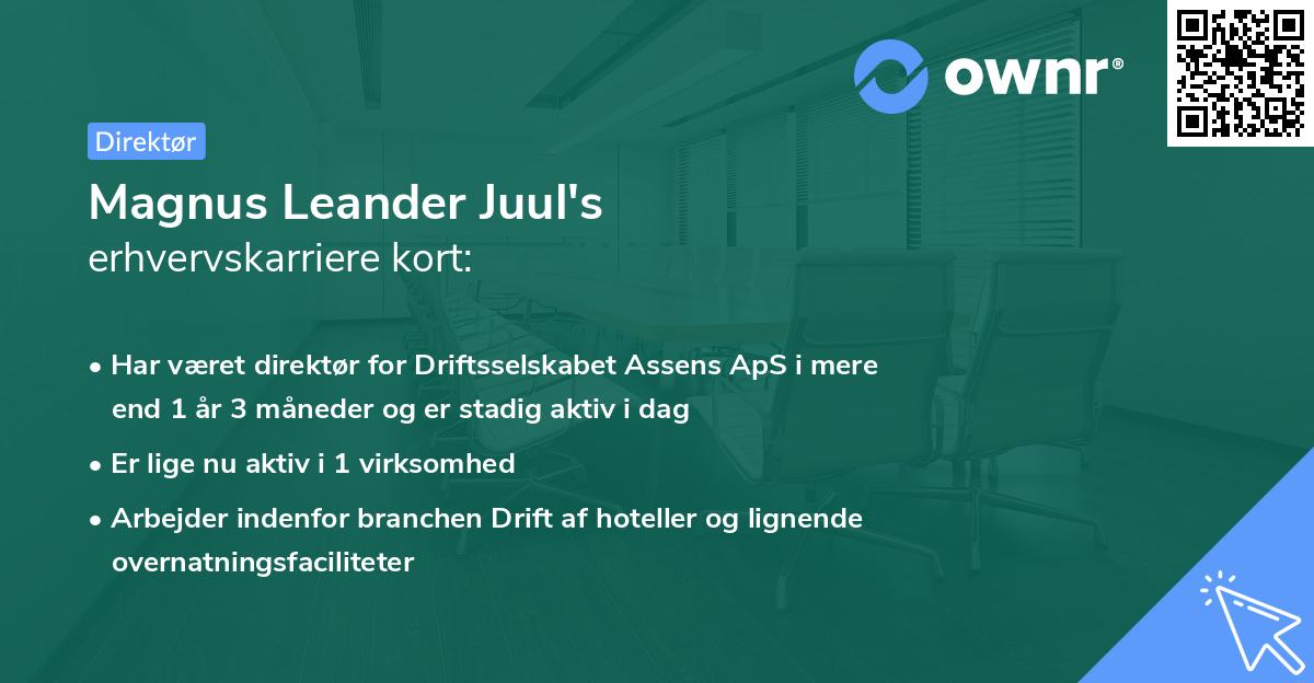 Magnus Leander Juul's erhvervskarriere kort