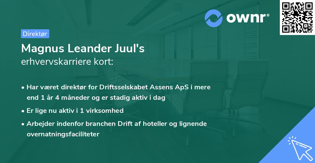 Magnus Leander Juul's erhvervskarriere kort