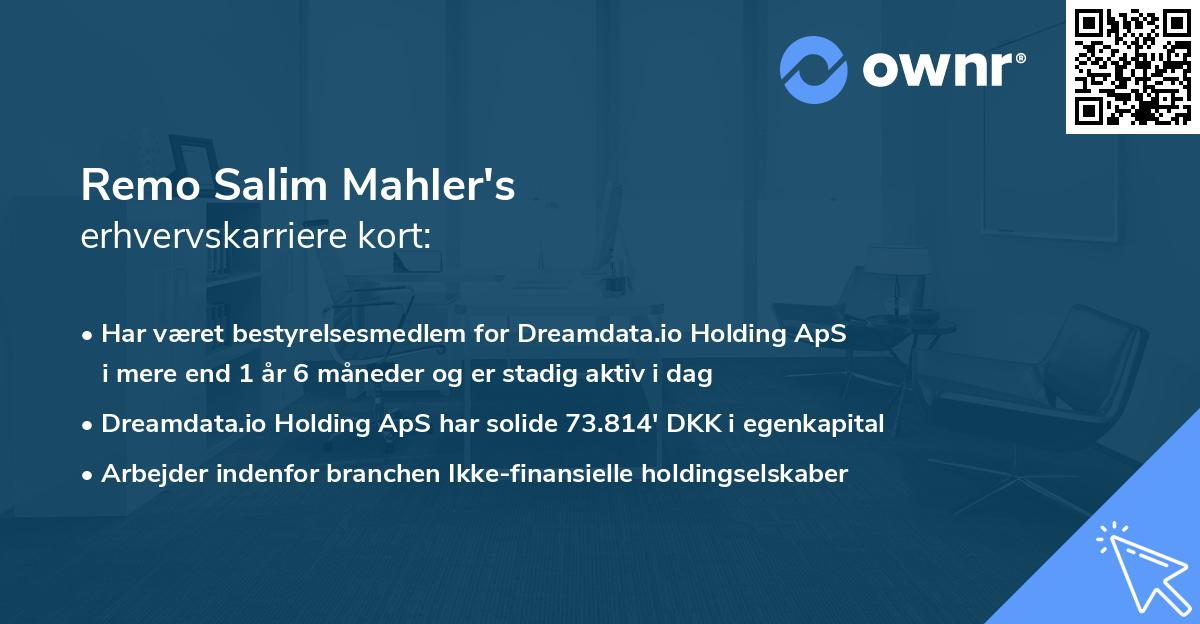Remo Salim Mahler's erhvervskarriere kort