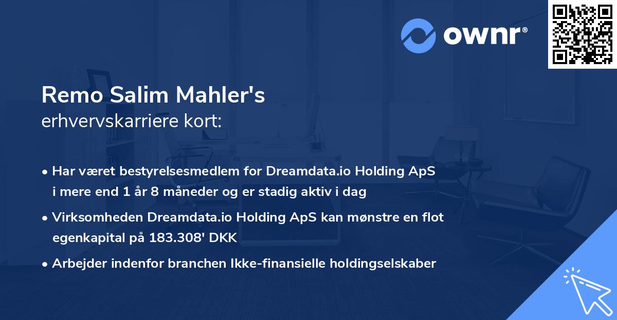 Remo Salim Mahler's erhvervskarriere kort
