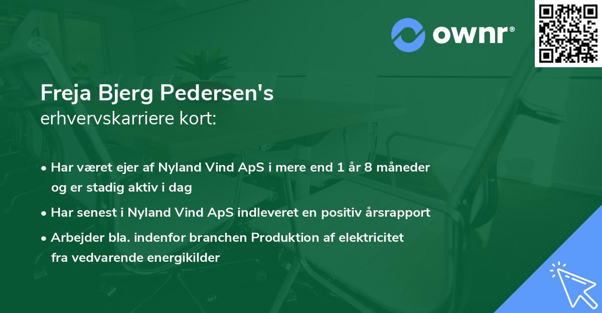 Freja Bjerg Pedersen's erhvervskarriere kort