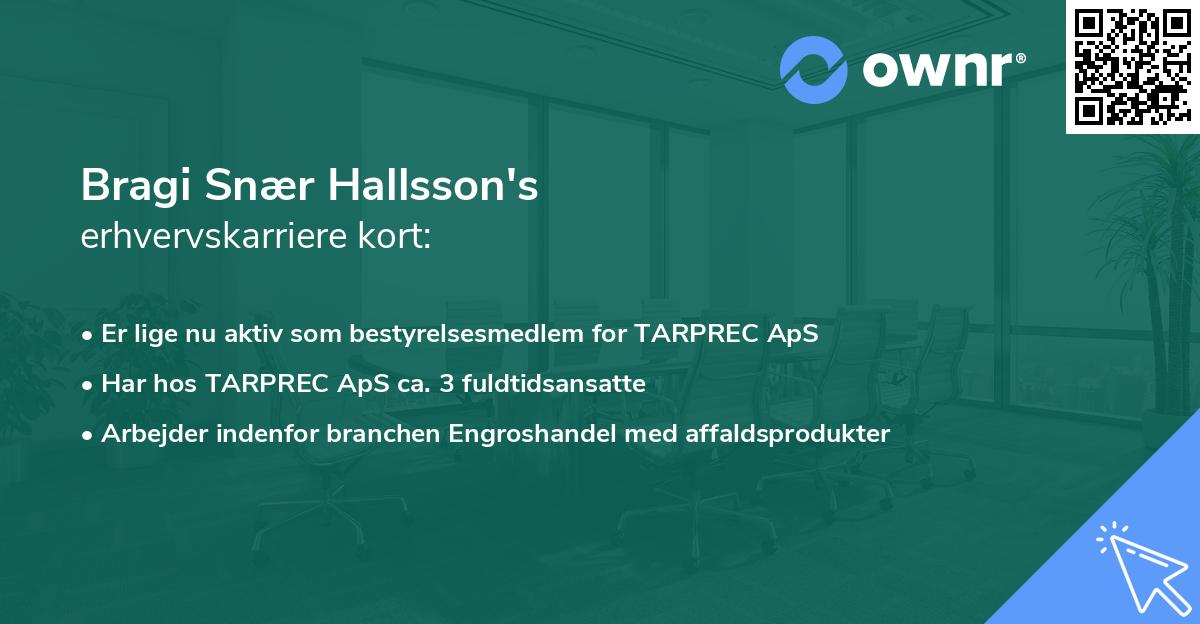 Bragi Snær Hallsson's erhvervskarriere kort