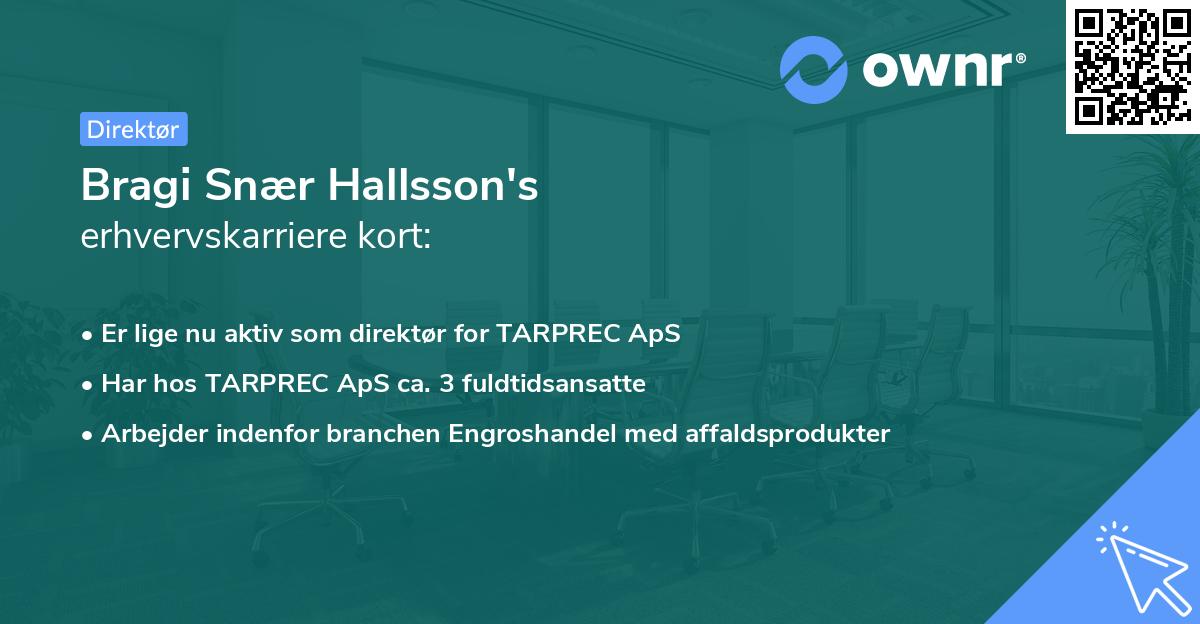 Bragi Snær Hallsson's erhvervskarriere kort