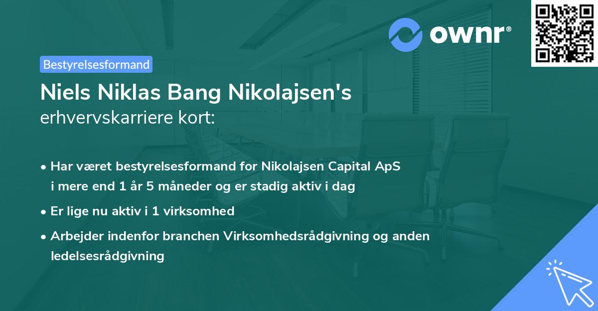 Niels Niklas Bang Nikolajsen's erhvervskarriere kort