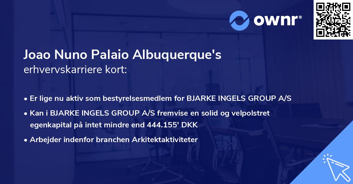 Joao Nuno Palaio Albuquerque's erhvervskarriere kort