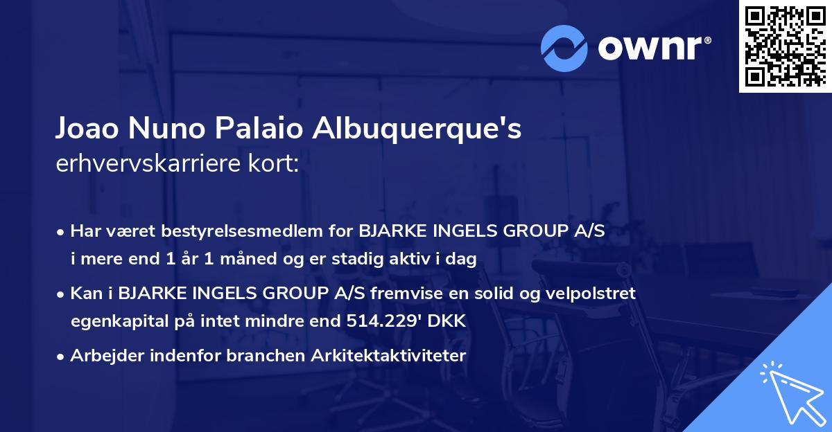 Joao Nuno Palaio Albuquerque's erhvervskarriere kort