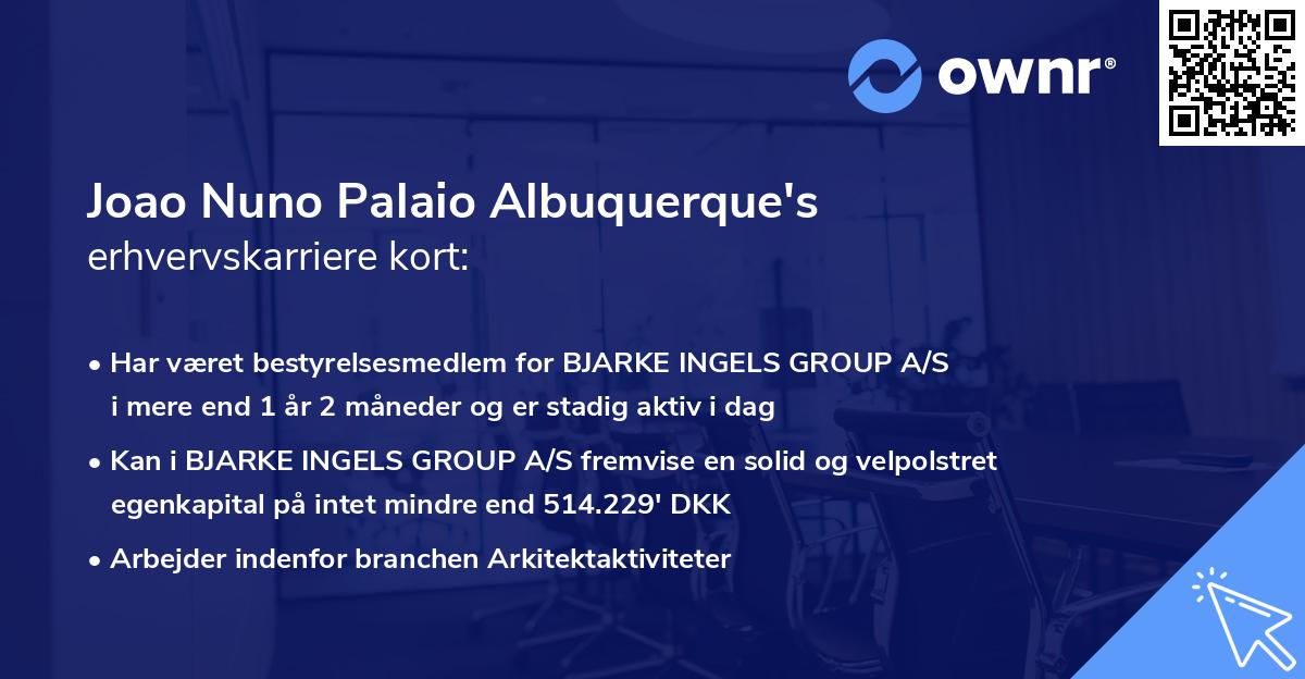 Joao Nuno Palaio Albuquerque's erhvervskarriere kort