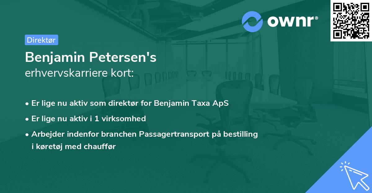 Benjamin Petersen's erhvervskarriere kort