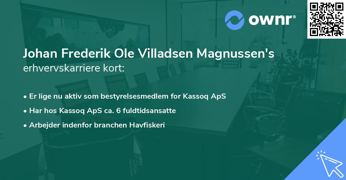 Johan Frederik Ole Villadsen Magnussen's erhvervskarriere kort