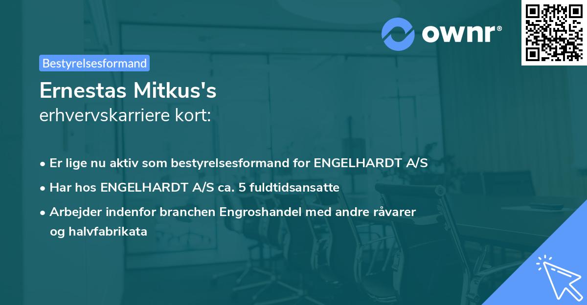 Ernestas Mitkus's erhvervskarriere kort