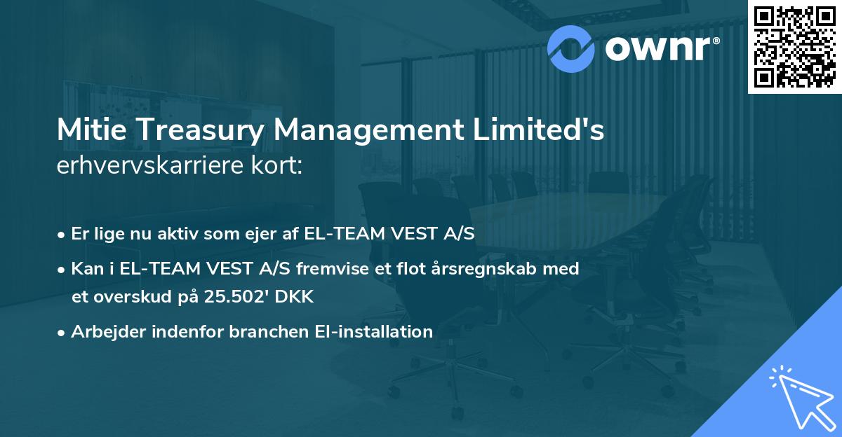 Mitie Treasury Management Limited's erhvervskarriere kort