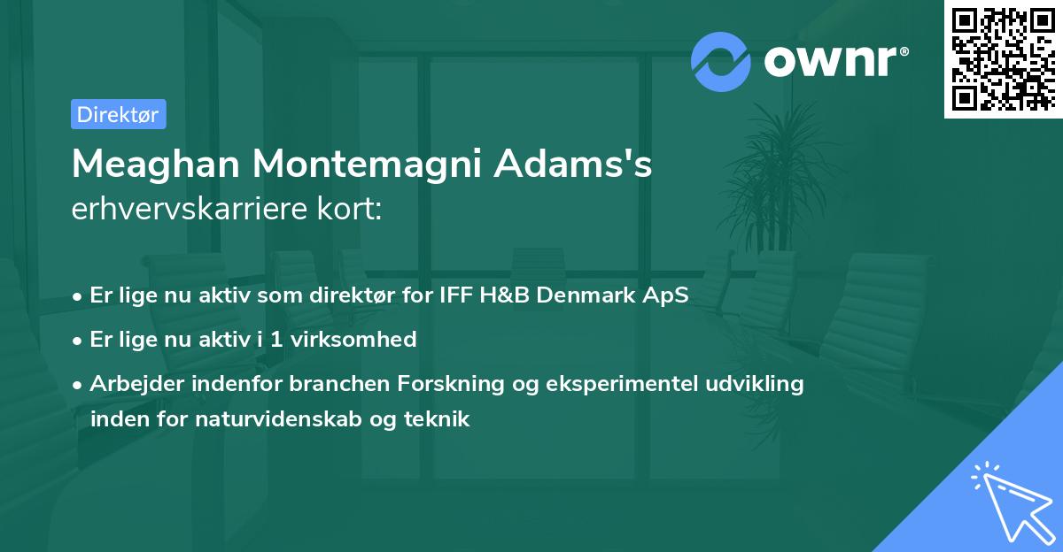 Meaghan Montemagni Adams's erhvervskarriere kort