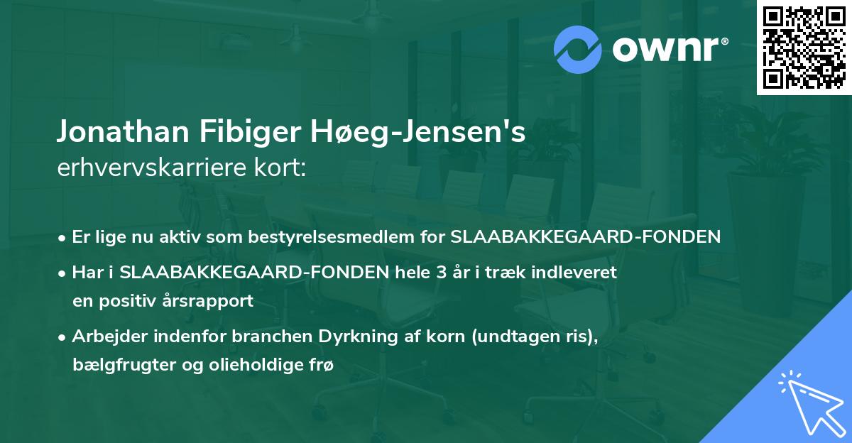Jonathan Fibiger Høeg-Jensen's erhvervskarriere kort