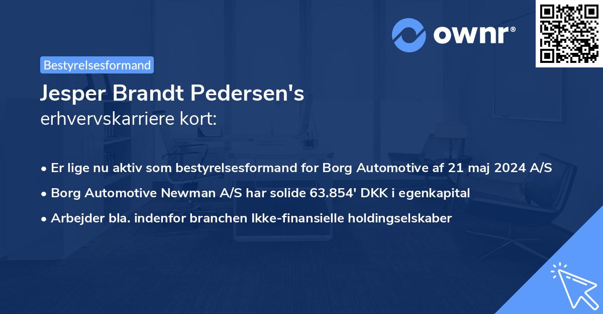 Jesper Brandt Pedersen's erhvervskarriere kort