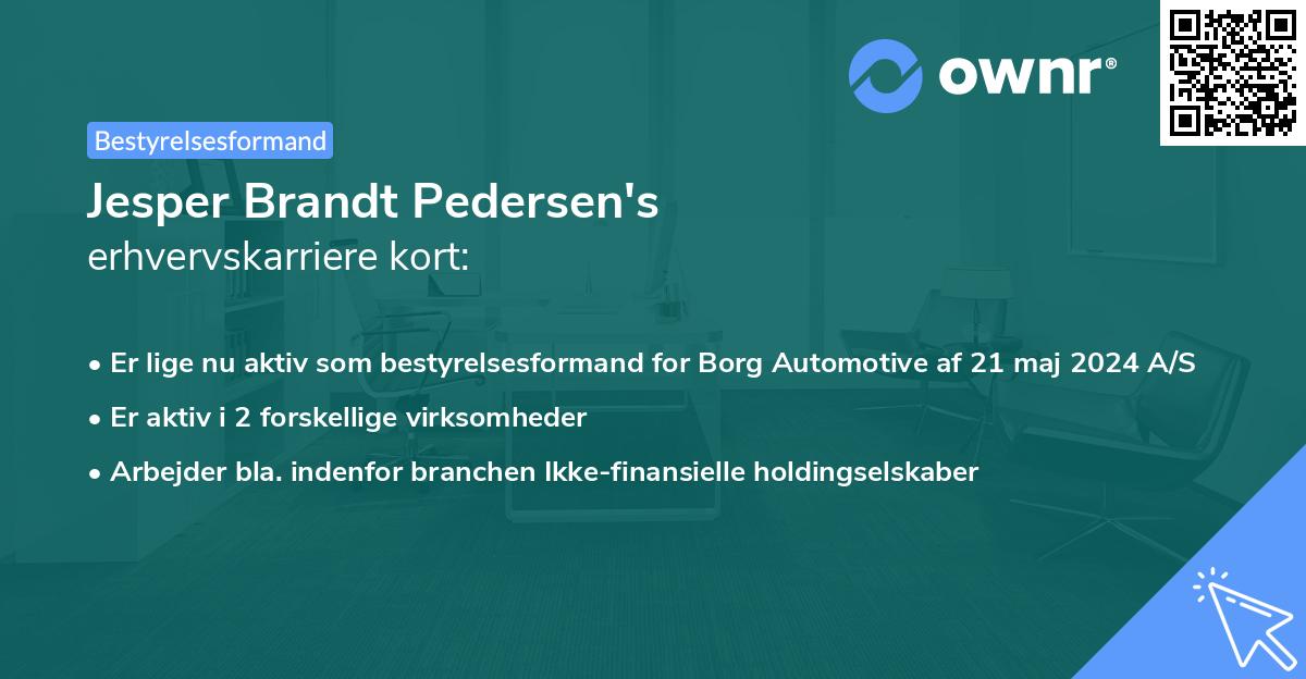 Jesper Brandt Pedersen's erhvervskarriere kort